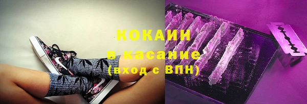 стафф Михайлов