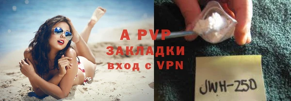 стафф Михайлов