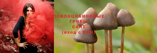 спиды Мегион