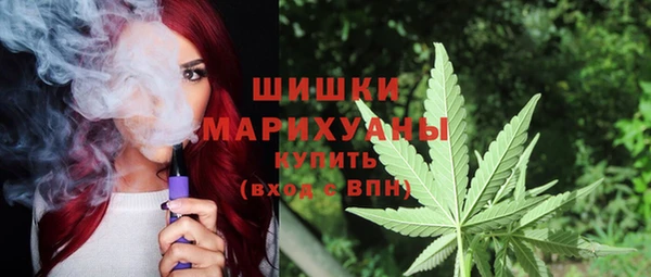 стафф Михайлов