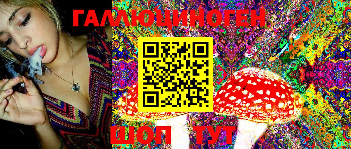 Канабис  COCAIN  Канабис  Вход с VPN  Искитим  XTC  МЕФ  Хэш  MDMA  A PVP 