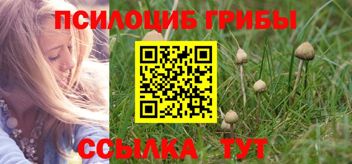 Псилоцибиновые грибы мицелий  Вход с VPN  Искитим 