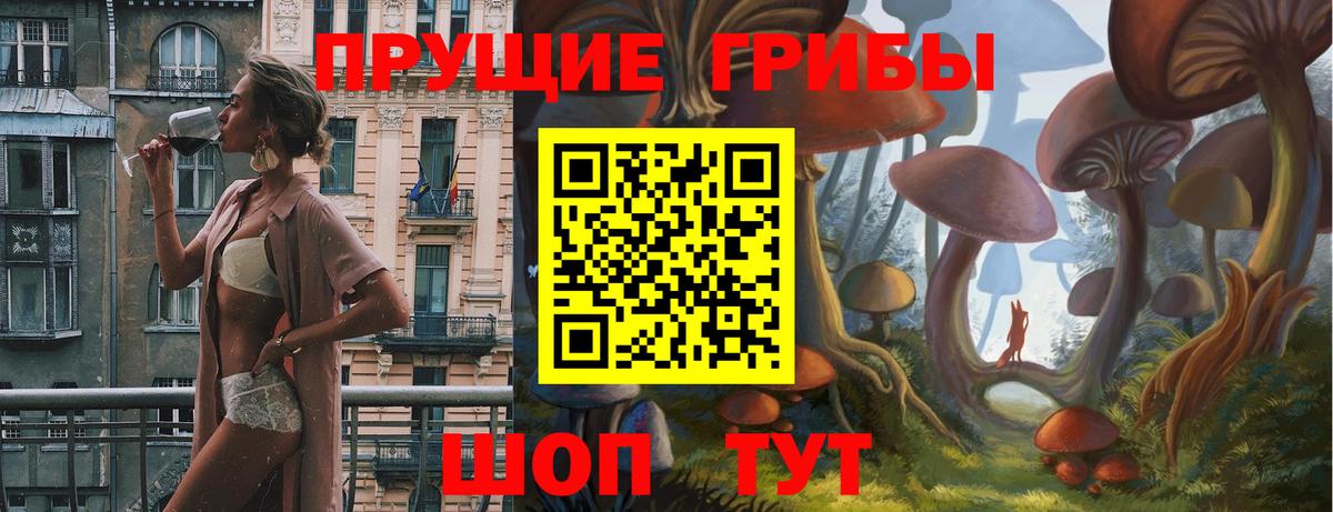 Псилоцибиновые грибы мицелий Искитим